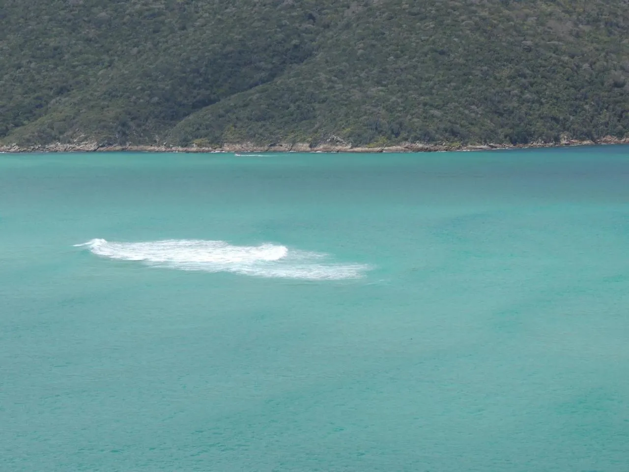 Casa de hóspedes Happy Seagull Hotel Arraial do Cabo